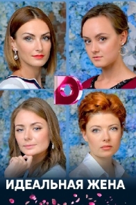 Идеальная жена