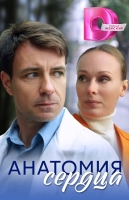 Анатомия сердца